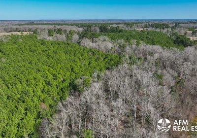 113 DJI 20250201143020 0032 V