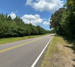 113 IMG 3065