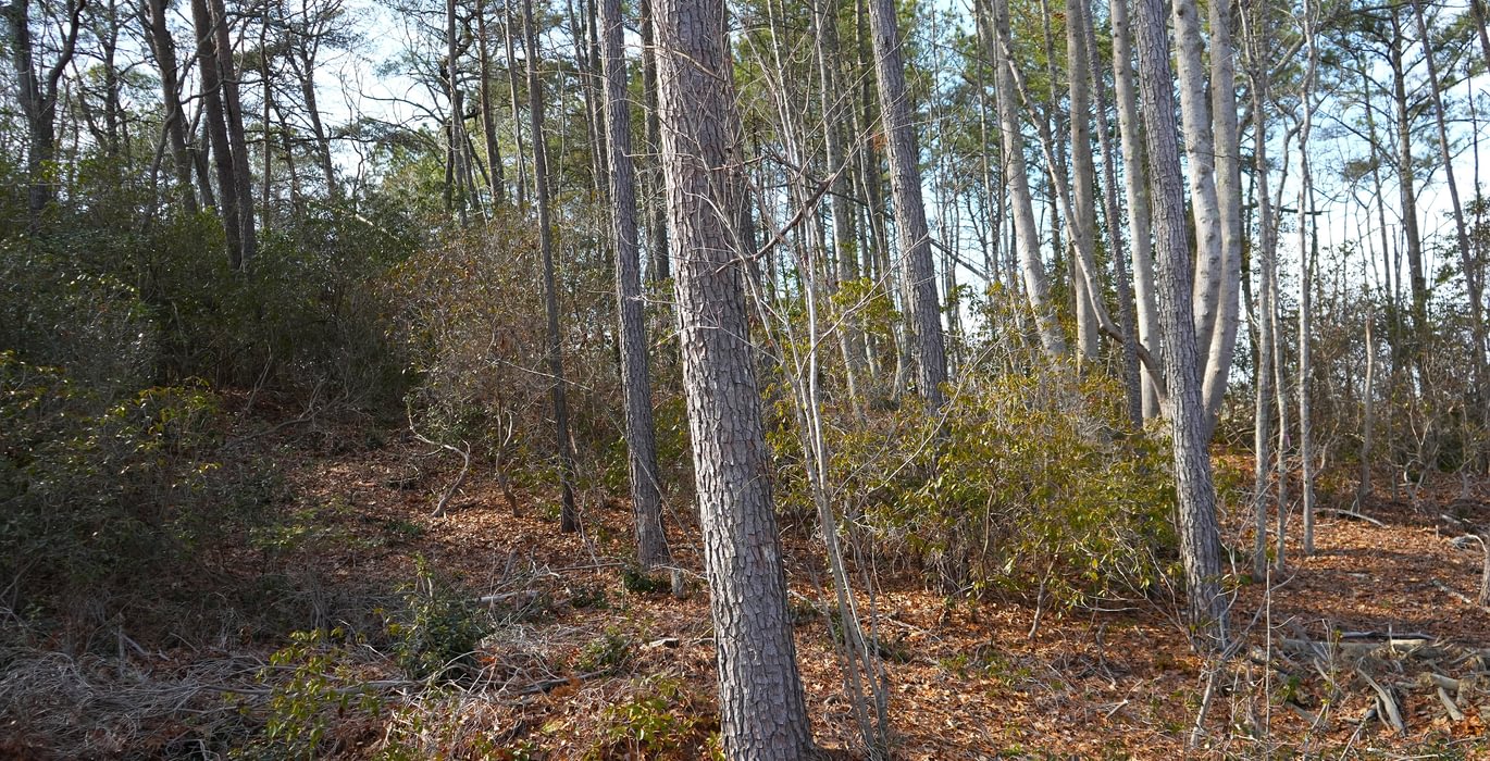 114 Church Hill pic7