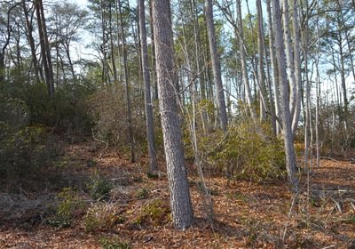 114 Church Hill pic7