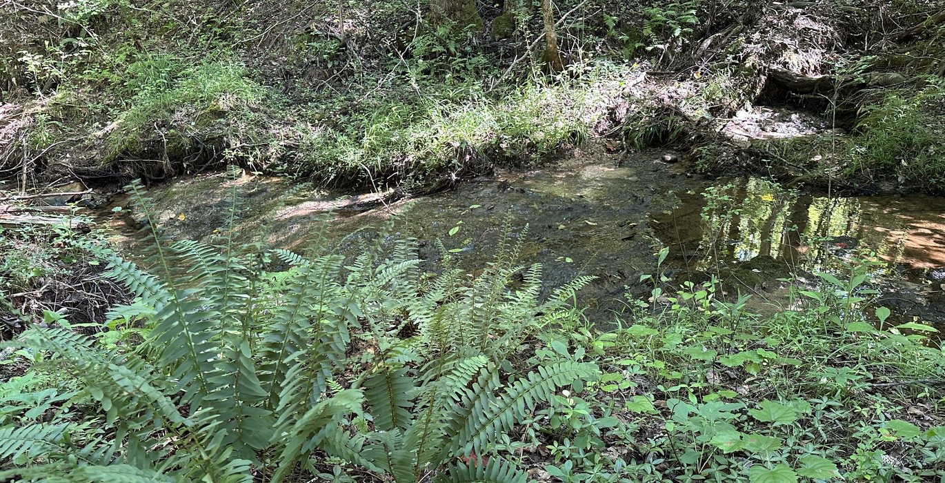 114 IMG 5929