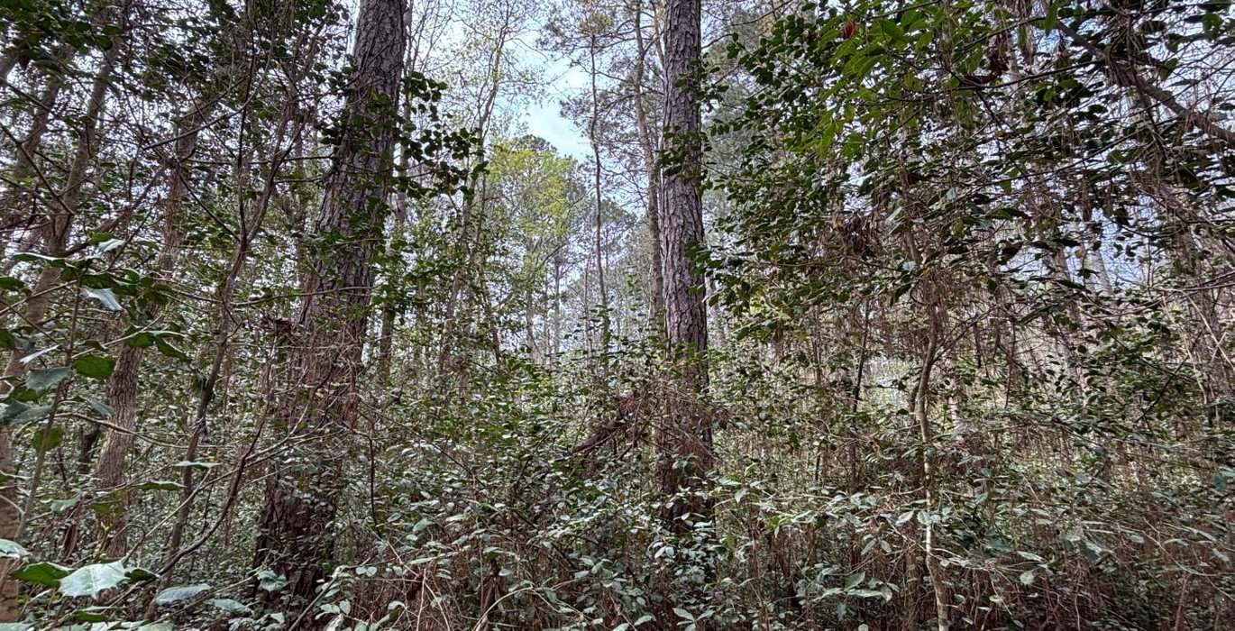 114 IMG 6430