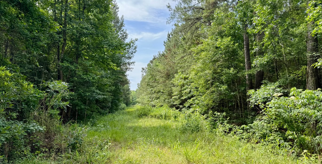 114 IMG 7529