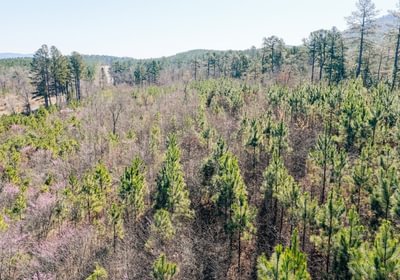 116 DJI 20260316103827 0035 D Medium