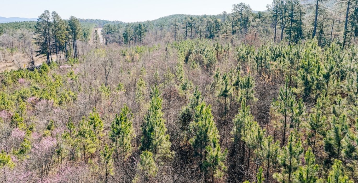 116 DJI 20260316103827 0035 D Medium