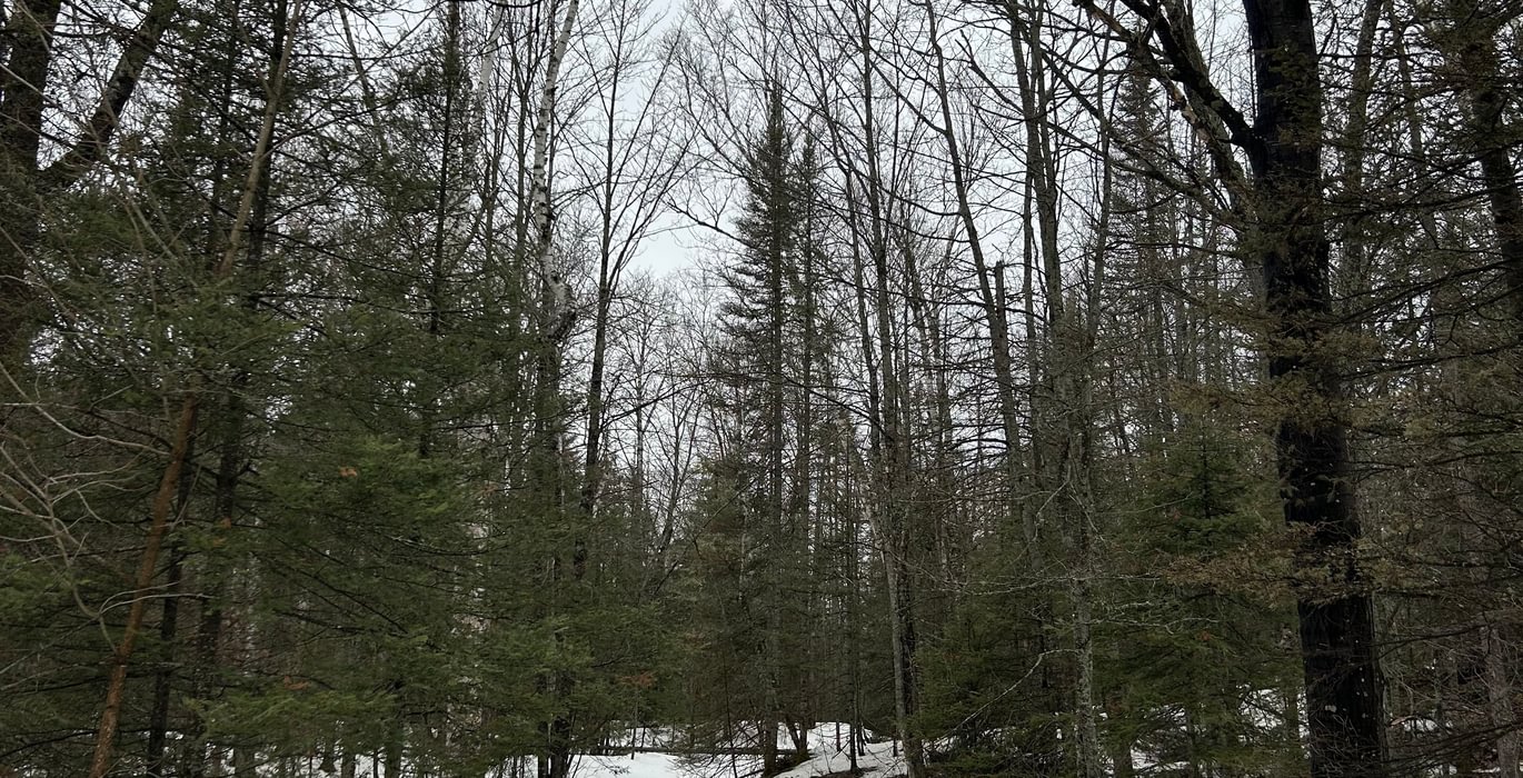 117 IMG 1591 1