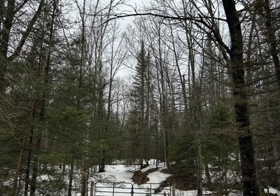 117 IMG 1591 1