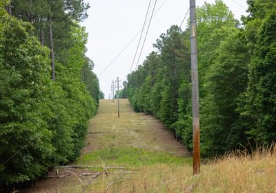 118 796 A0618 1