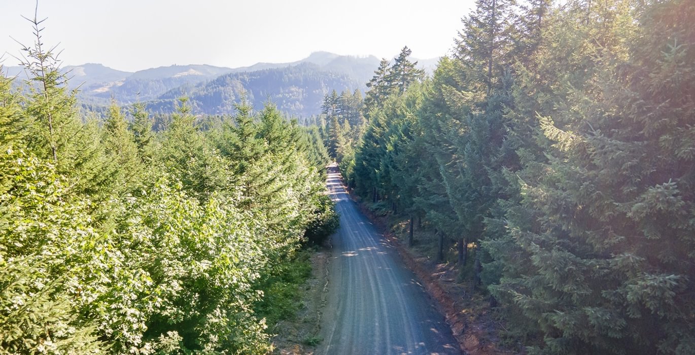 118 DJI 0916 HDR25