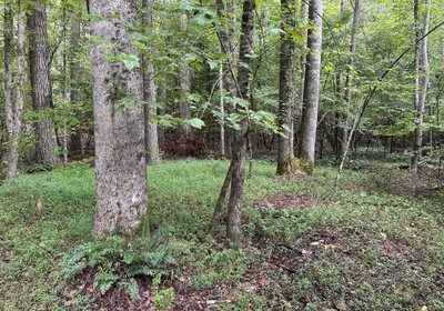 118 IMG 7215