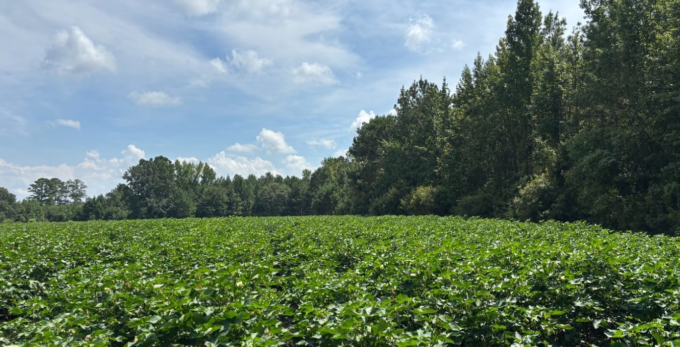 118 IMG 8427