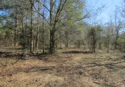 120 IMG 0576
