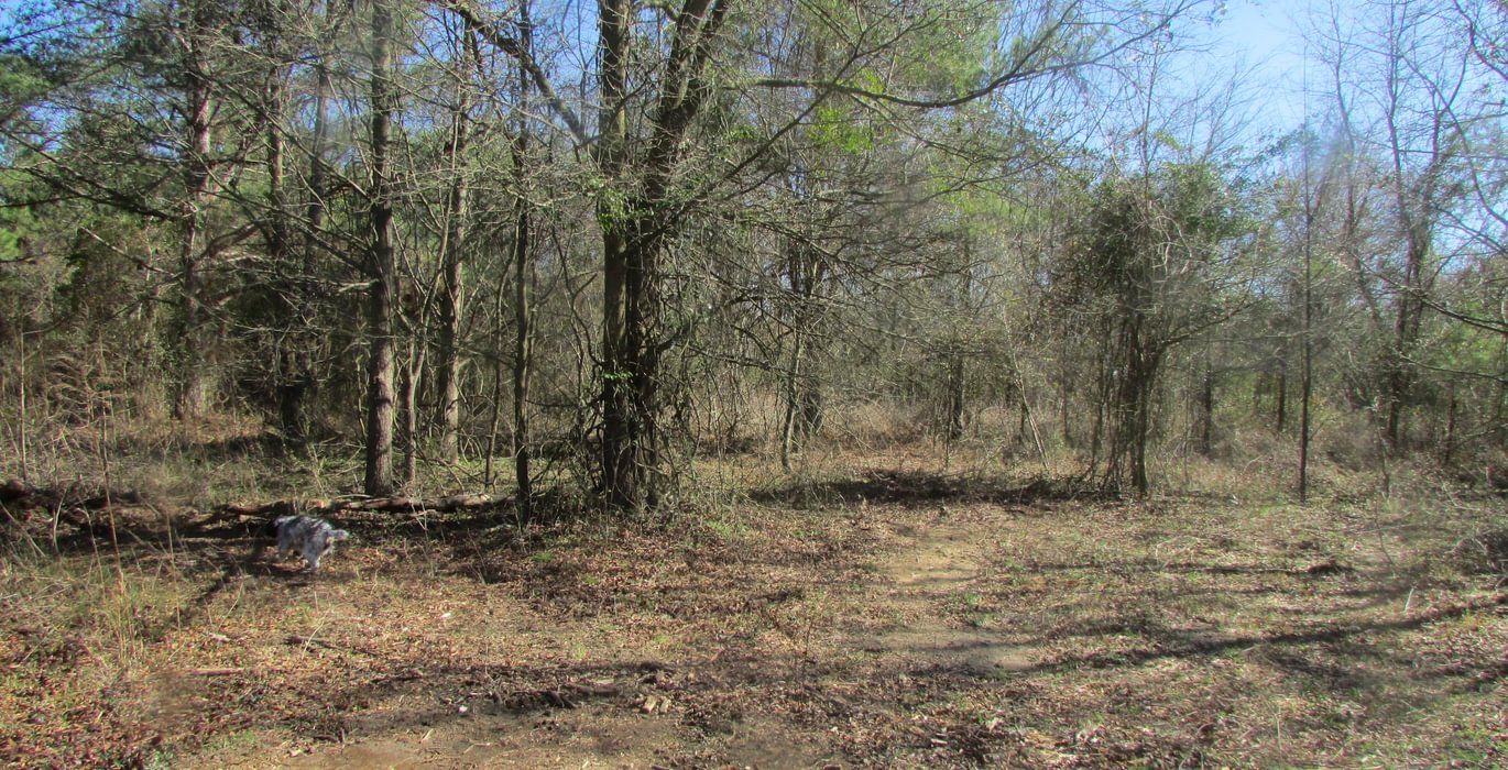 120 IMG 0576