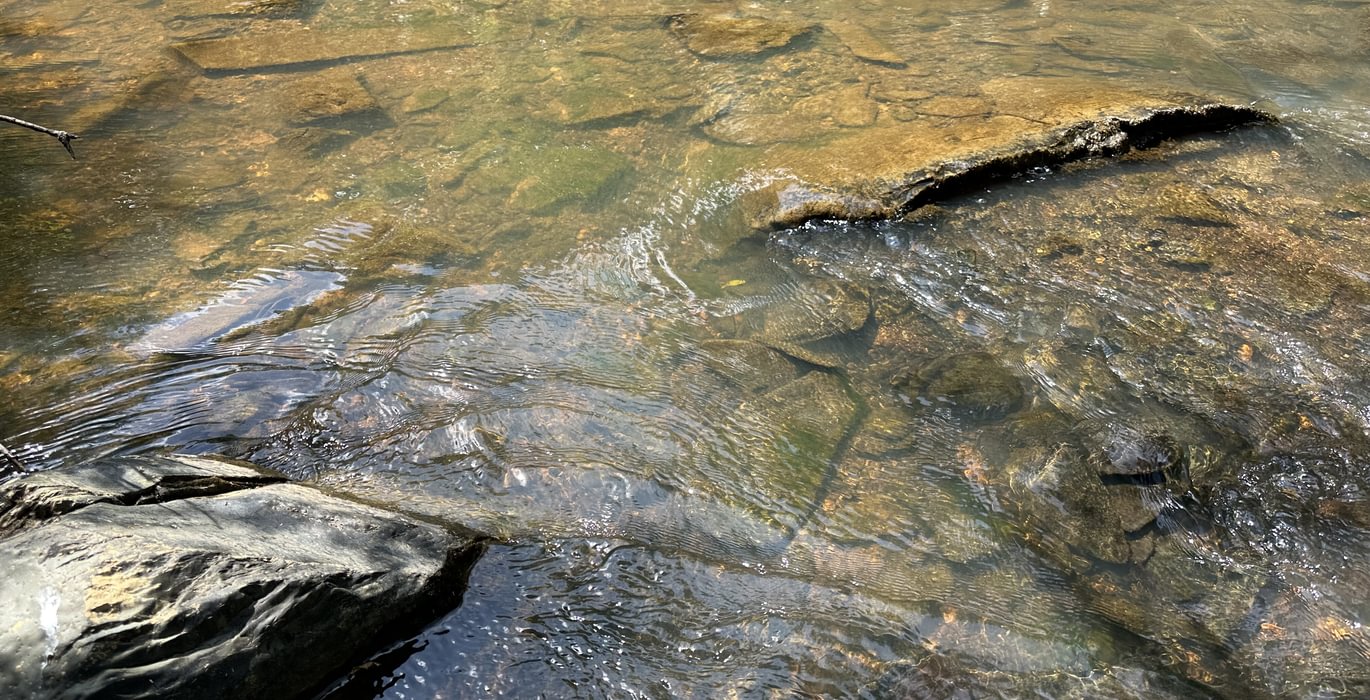120 IMG 6377