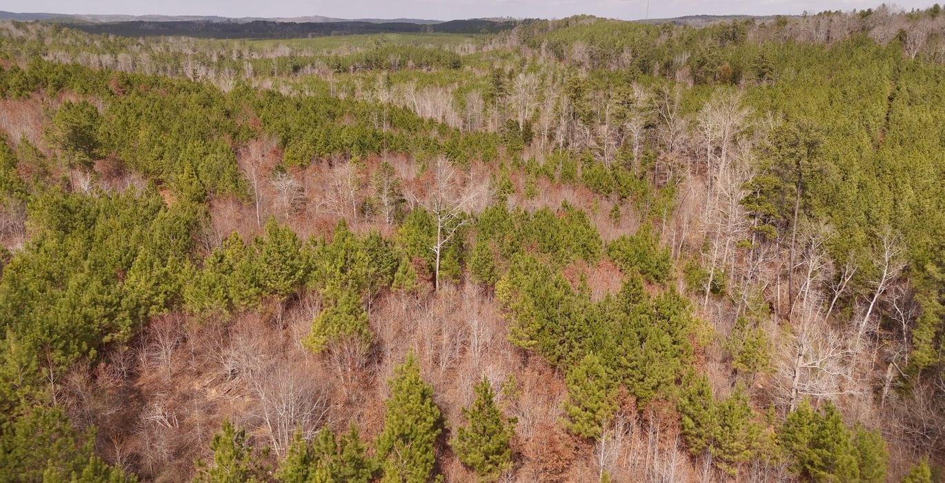 121 AFM Harrisville 68 Photo 13