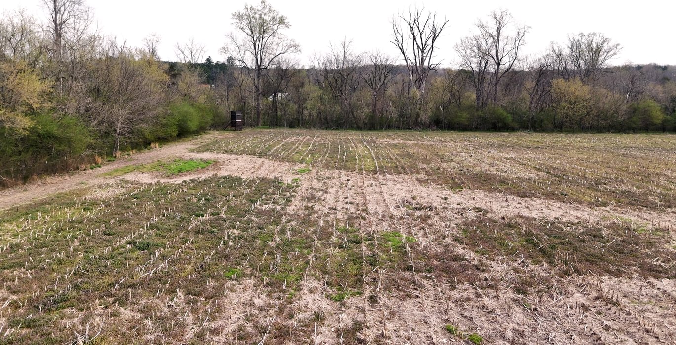 121 AFM West Fork 85 Photo 7