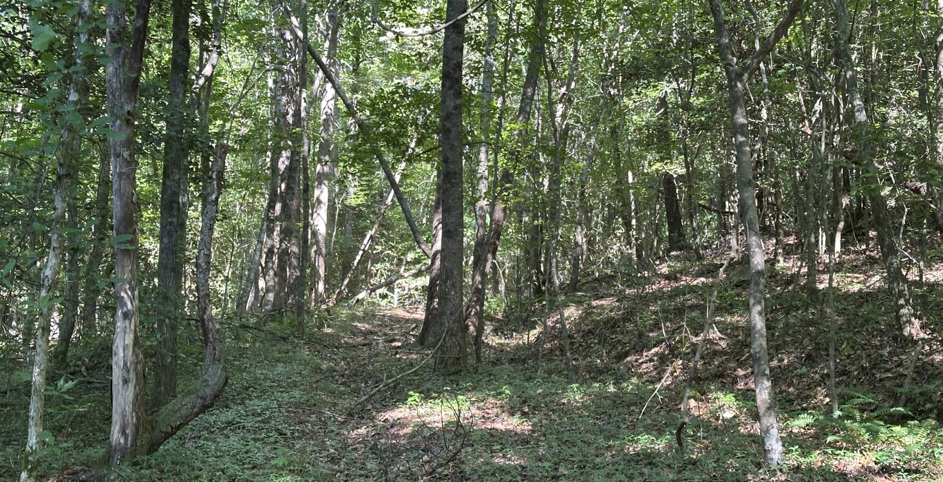 121 IMG 5949