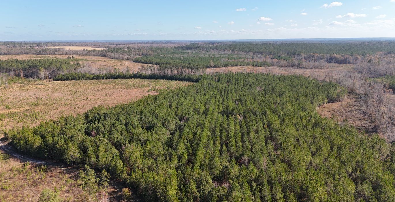 122 dji fly 20241216 134124 0049 1734391515197 photo