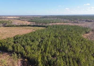 122 dji fly 20241216 134124 0049 1734391515197 photo