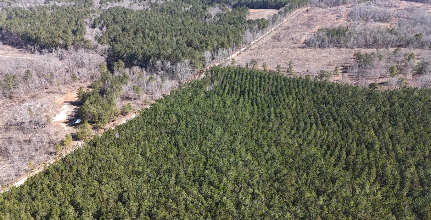 123 DJI 20250224105625 0005 D