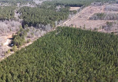 123 DJI 20250224105625 0005 D