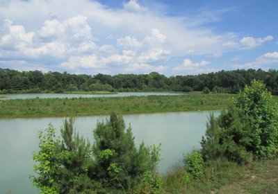 123 IMG 1140