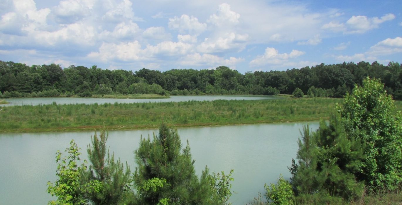 123 IMG 1140