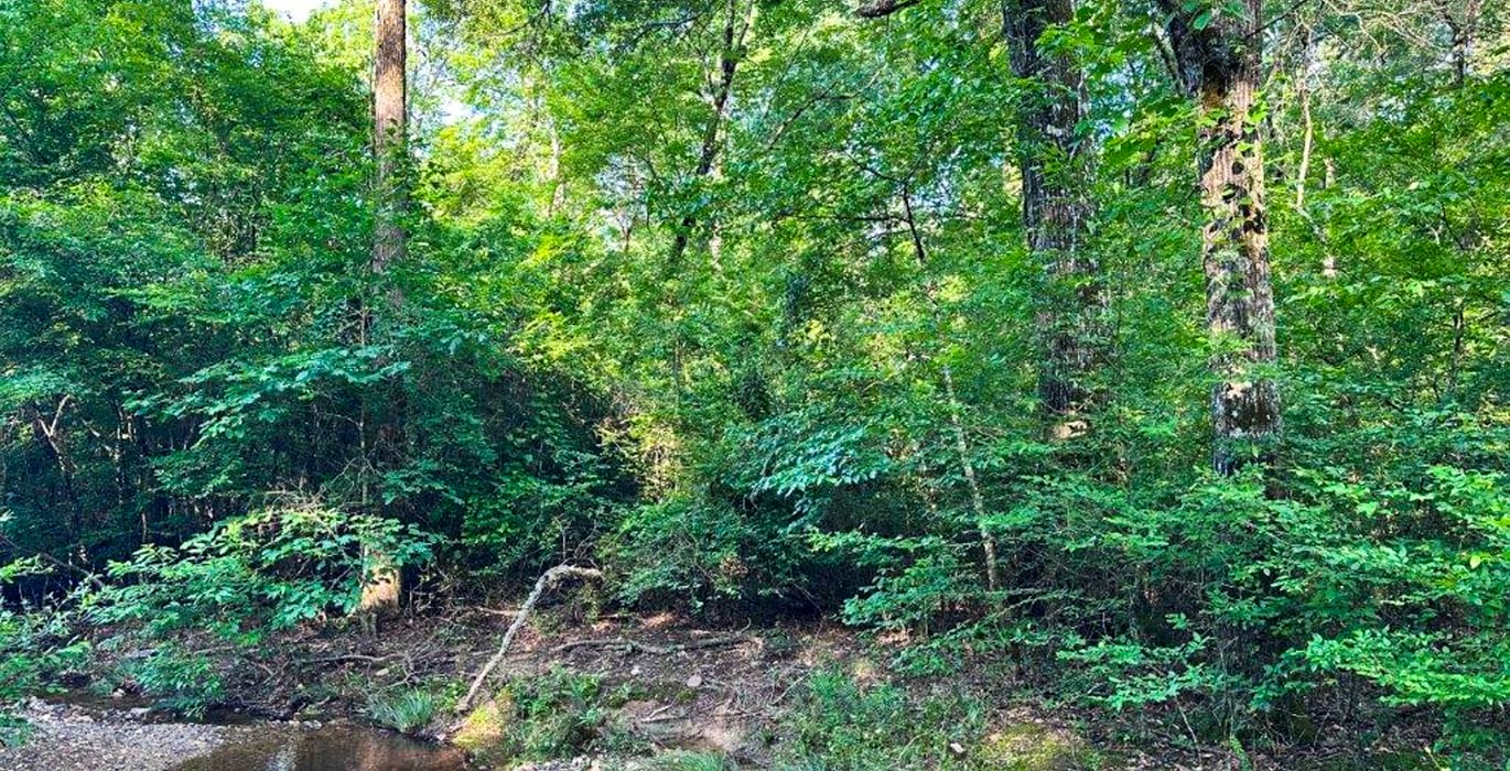 123 IMG 2636