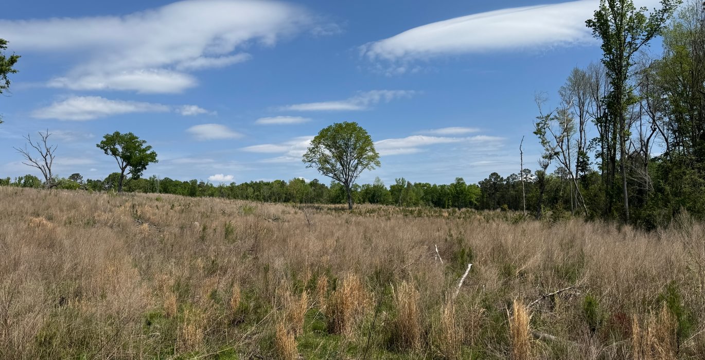 123 IMG 7175