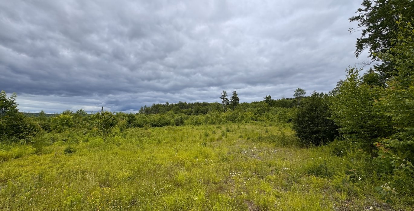 123 potential build site