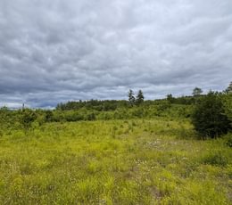 123 potential build site