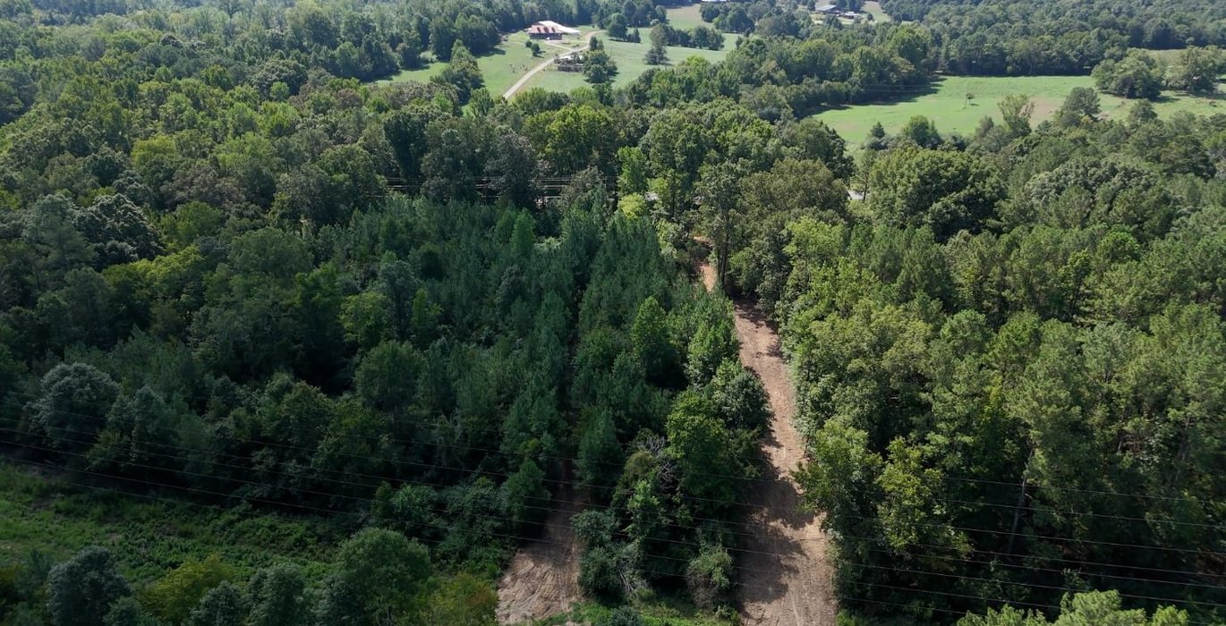 124 Simlin Creek Photo 17