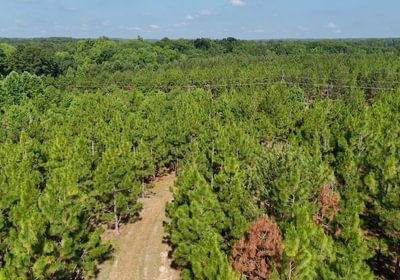 125 Longleaf Mecca Photo 20