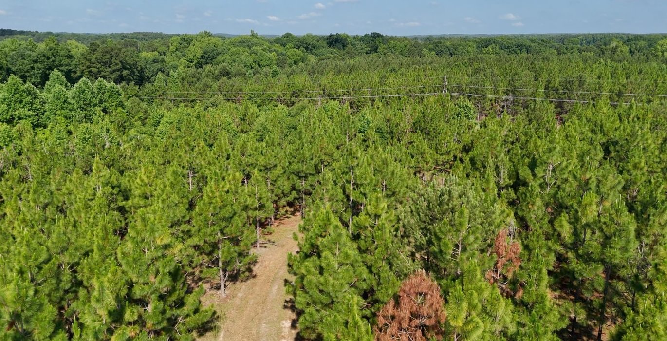 125 Longleaf Mecca Photo 20