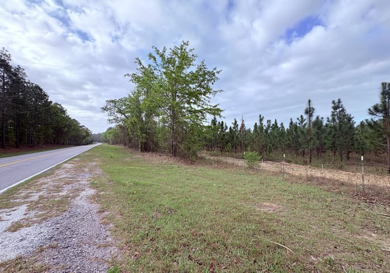 Photo 14 of Old Poor Robin Sportsman Tract 2, 24.6 acres, Screven County, Georgia