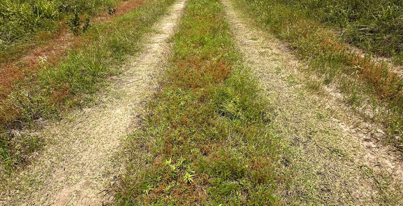 126 IMG 6335