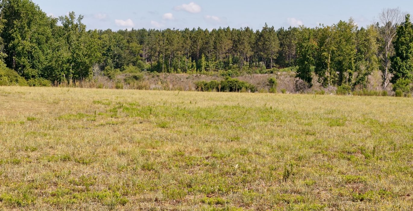 127 Horseshoe Road Photo 22