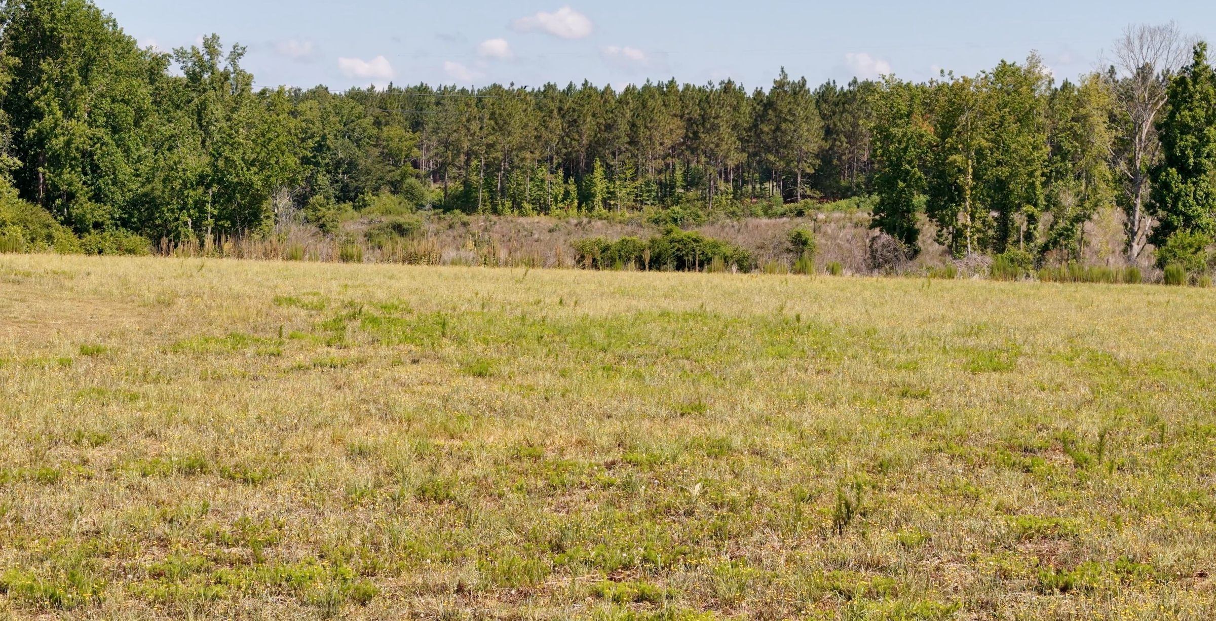 127 Horseshoe Road Photo 22