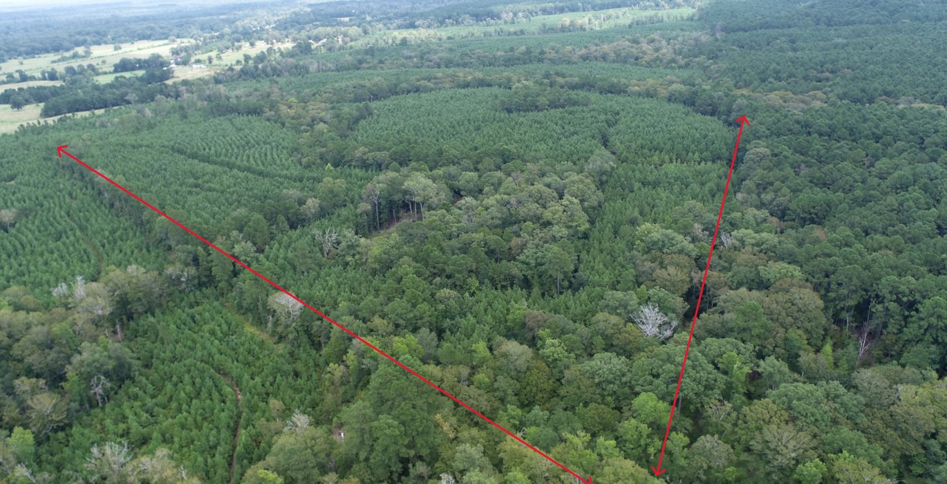 128 DJI 0533 L