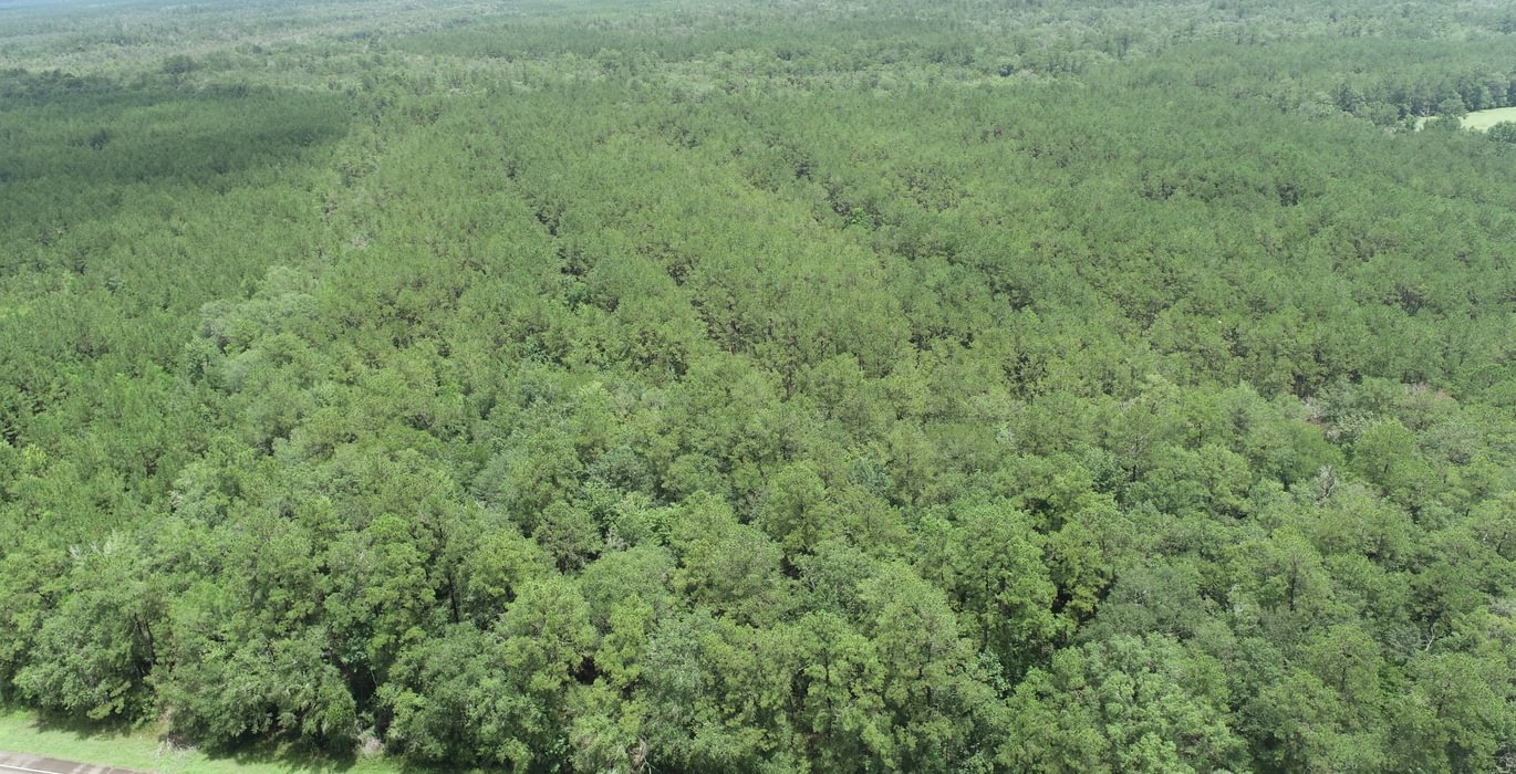 128 DJI 0074