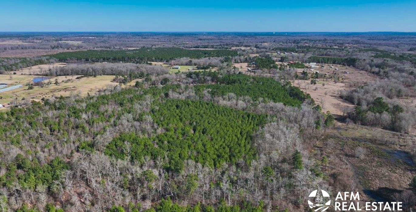 128 DJI 20250201142654 0010 V