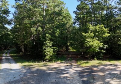 128 Enoree Creek Photo 2