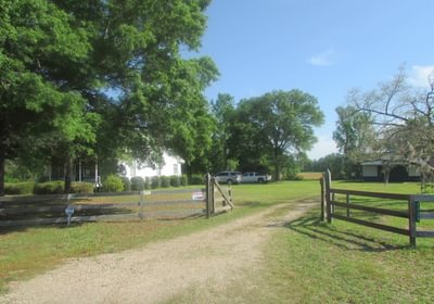 129 IMG 0591