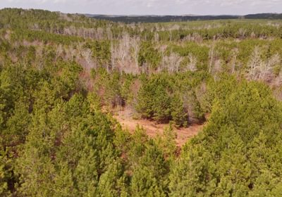 12 AFM Harrisville 68 Photo 14