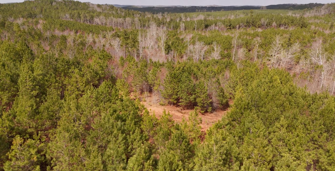 12 AFM Harrisville 68 Photo 14