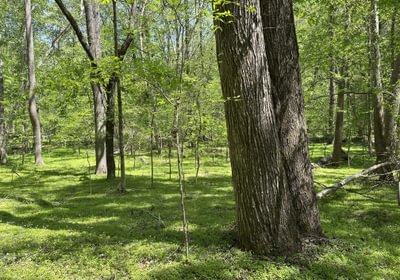 12 IMG 5234
