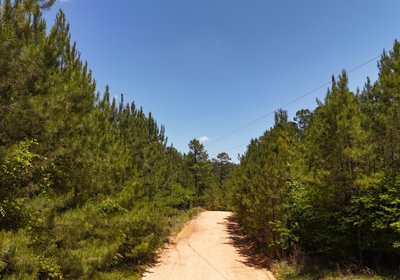 130 DJI 20260518132140 0092 D