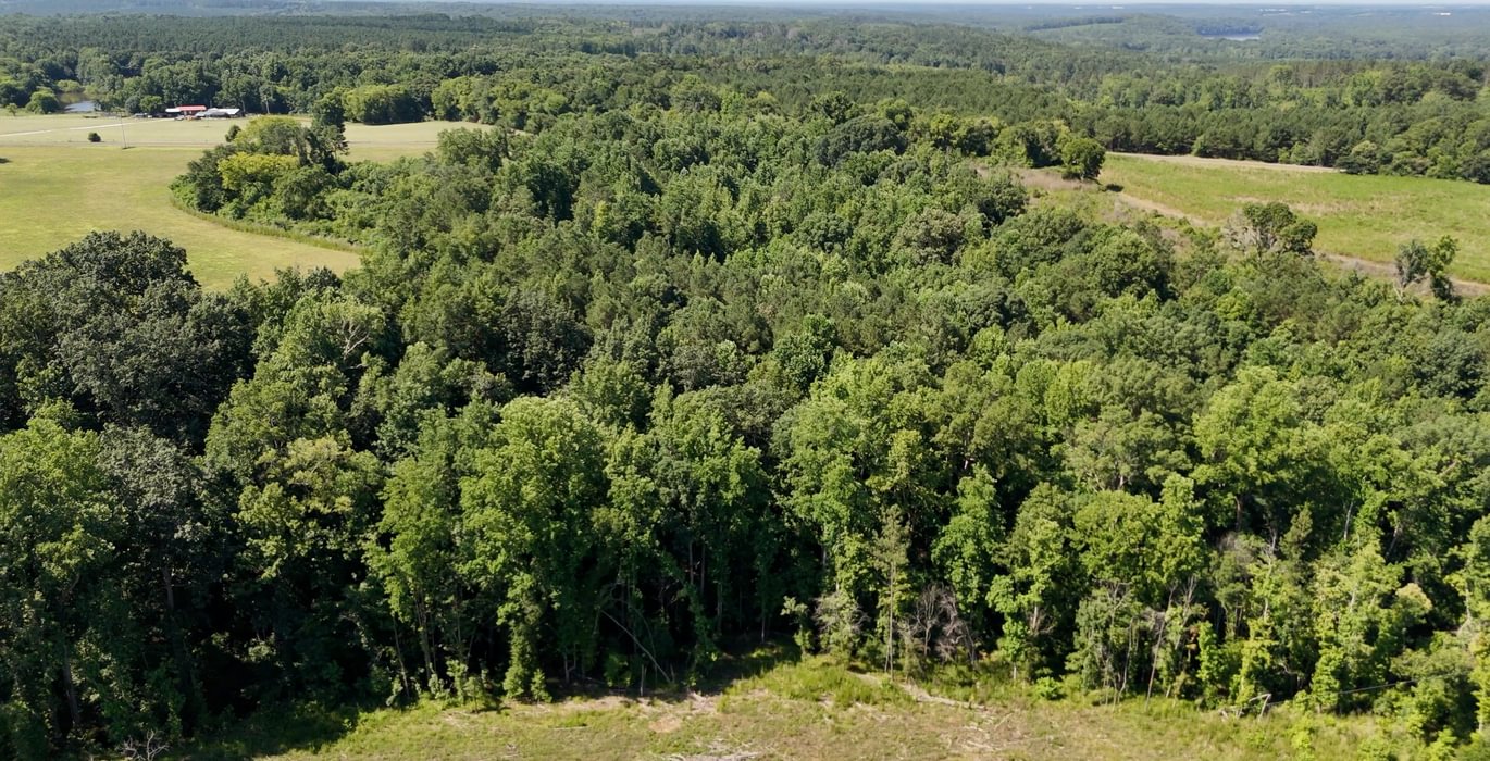 130 Horseshoe Road Photo 18