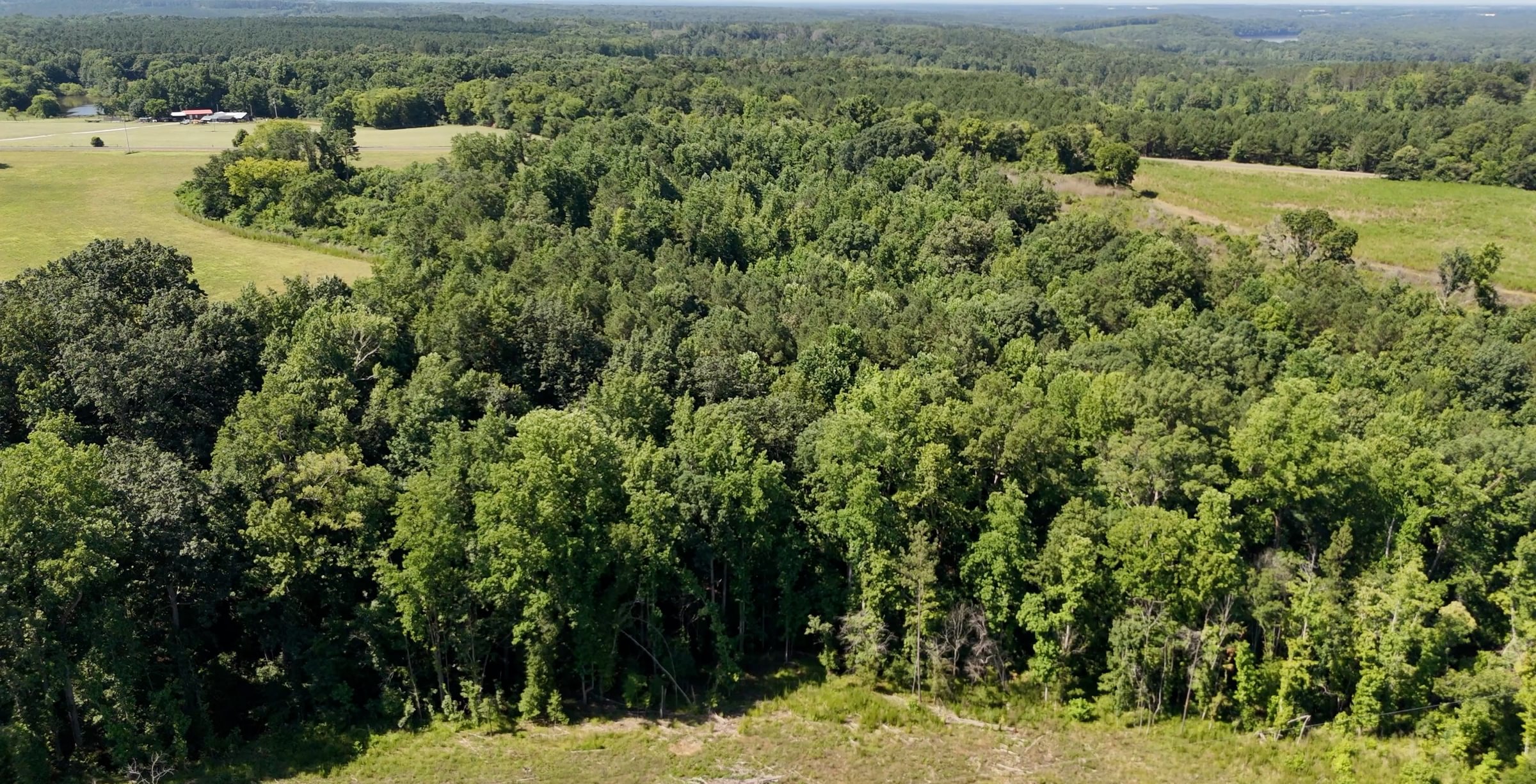 130 Horseshoe Road Photo 18