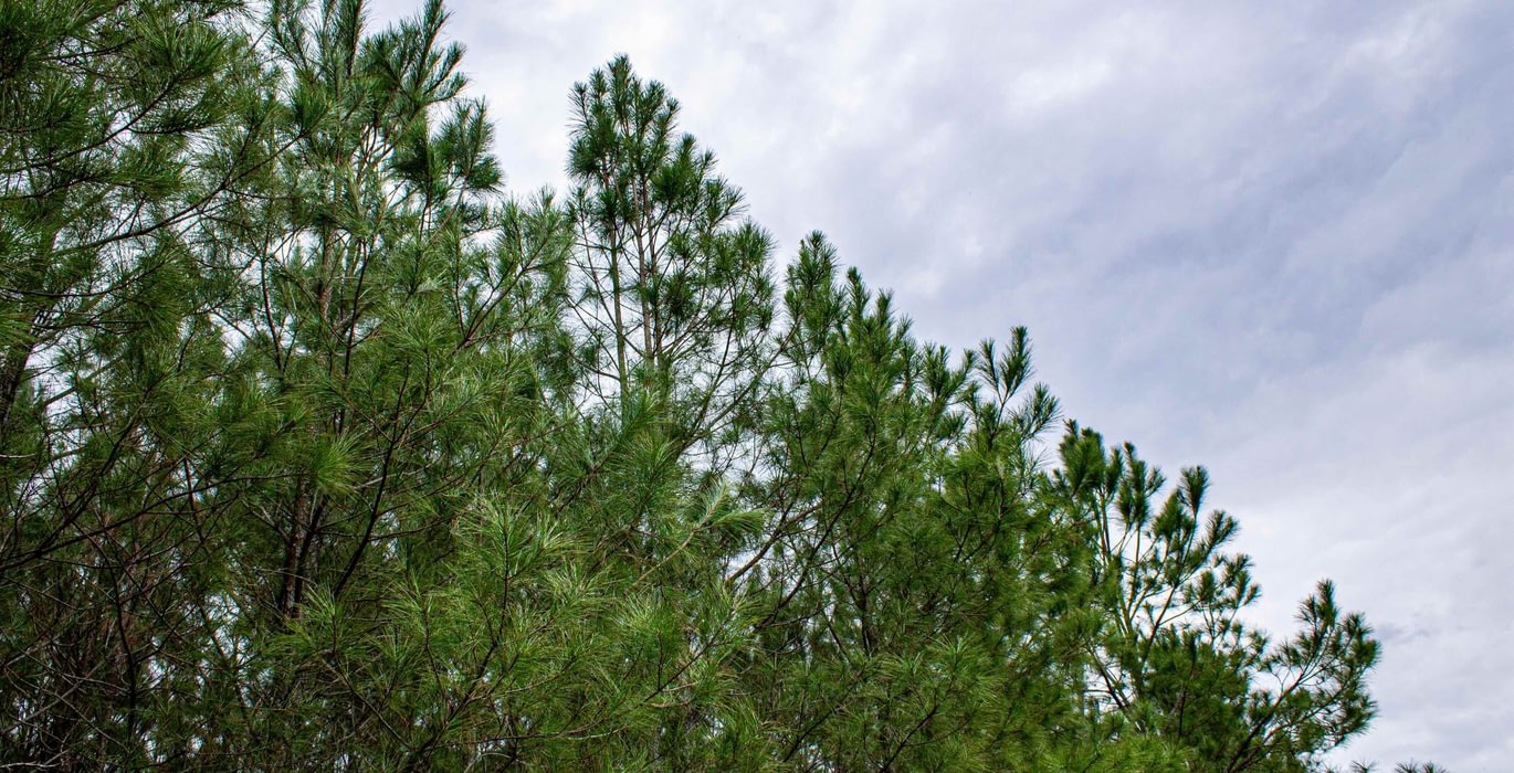 131 FORTLAWN IMG 6830